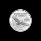 1/10 oz American Platinum Eagle (Random Year) - Summit Metals