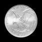 American Silver Eagle Mint Sealed Tube 2026 (BU) - Summit Metals