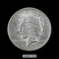 American Silver Peace Dollar Random Year
