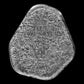 Germania Mint 1 oz Cast Silver Bar Rune Series - BERKANAN - Summit Metals